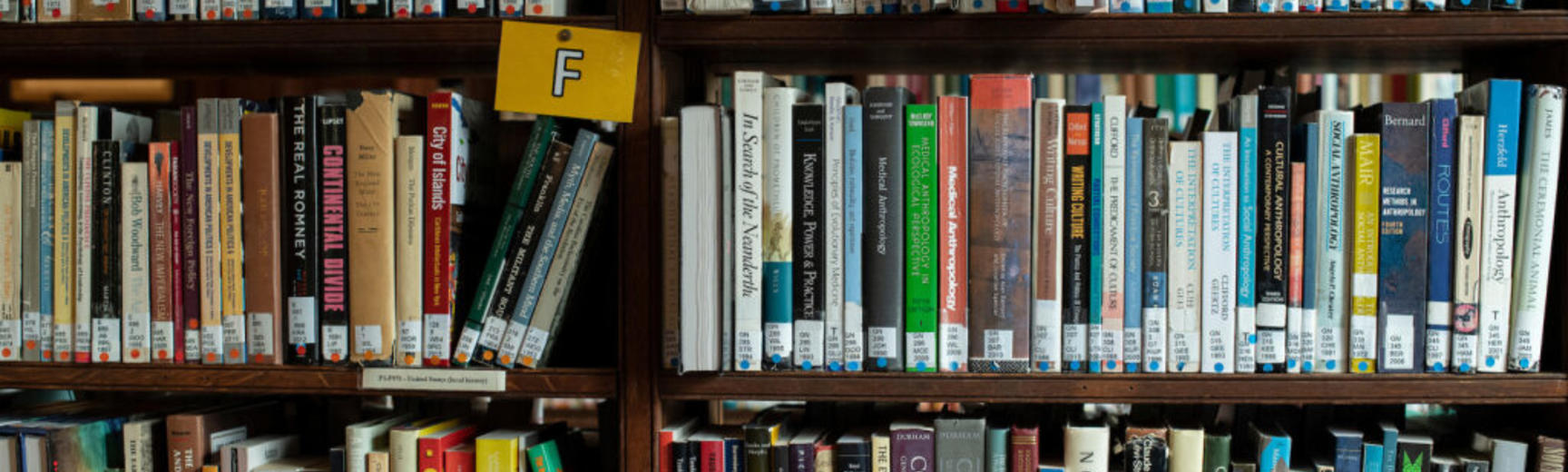 lots of books on library shelves 