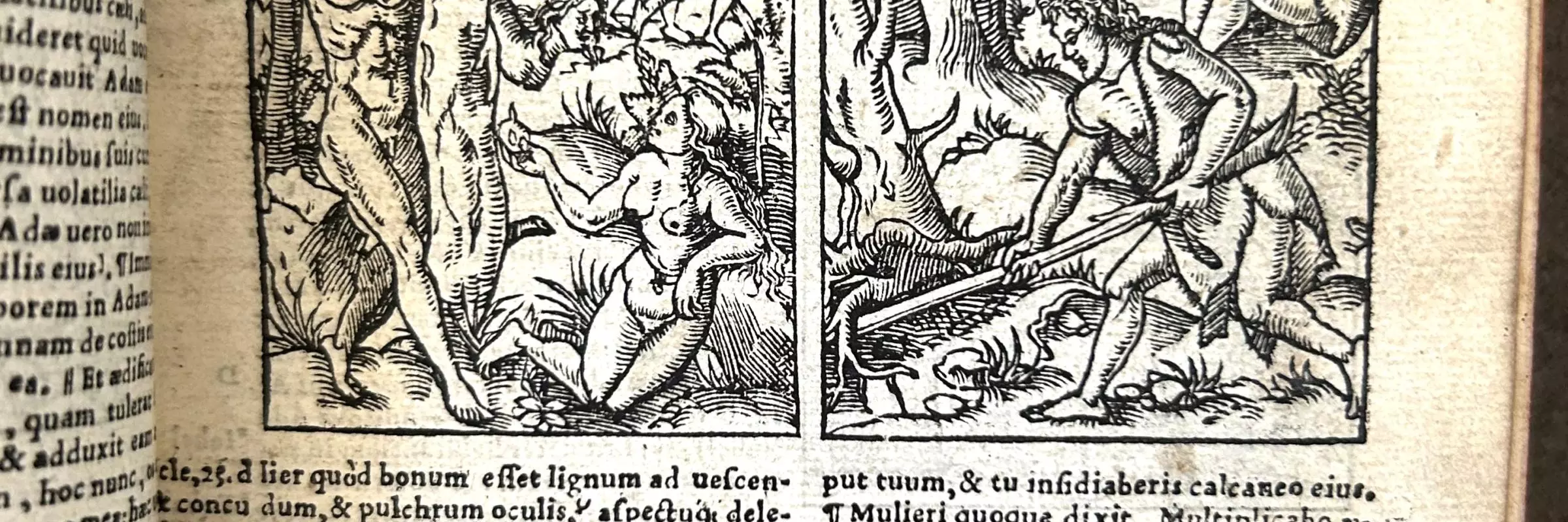 Black and white image of text with two woodcuts of biblical scenes
