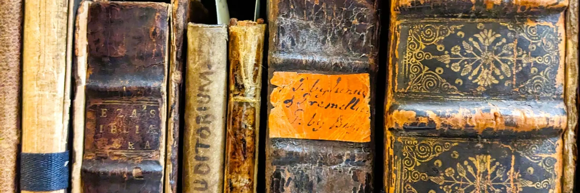 special collections photo