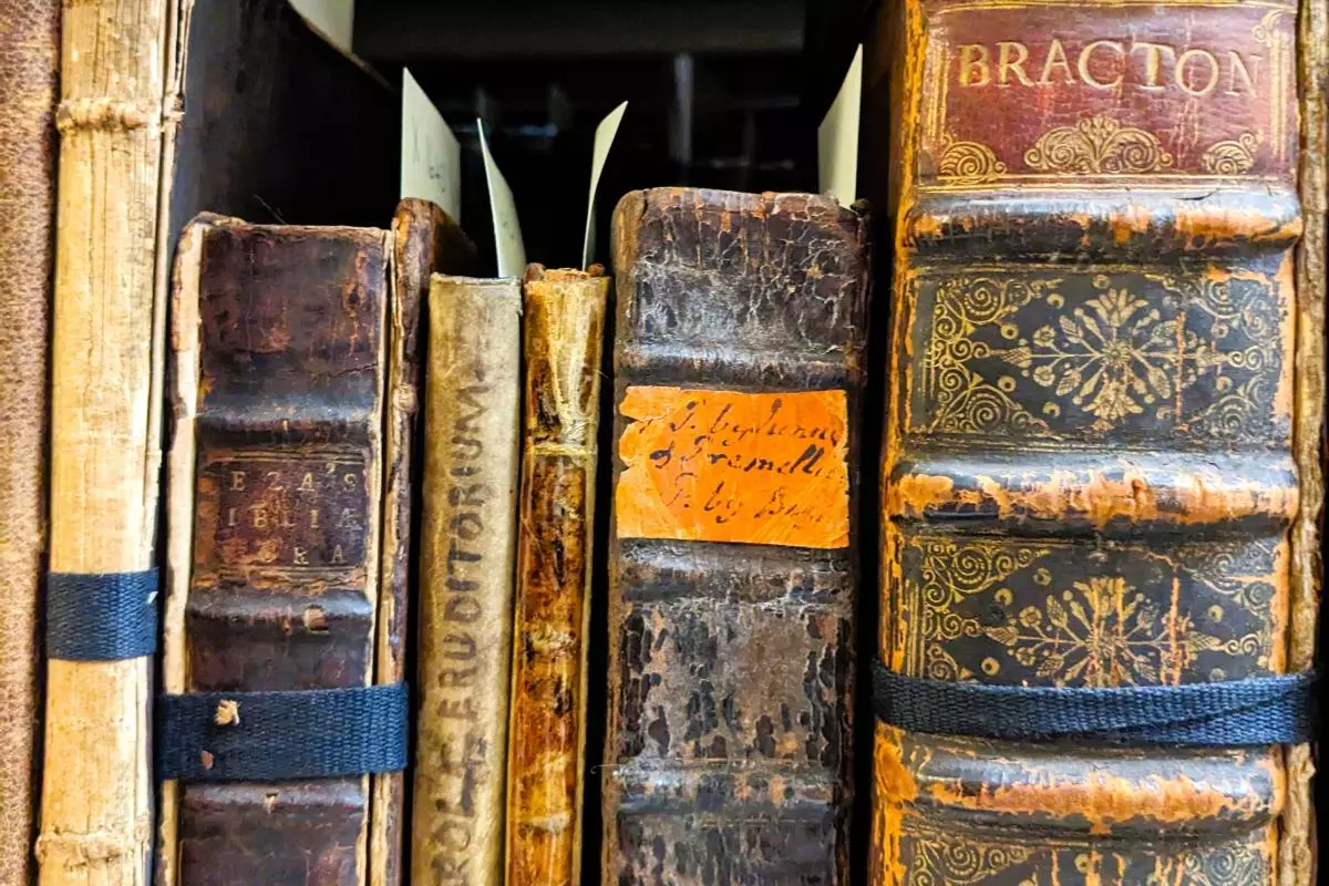 special collections photo